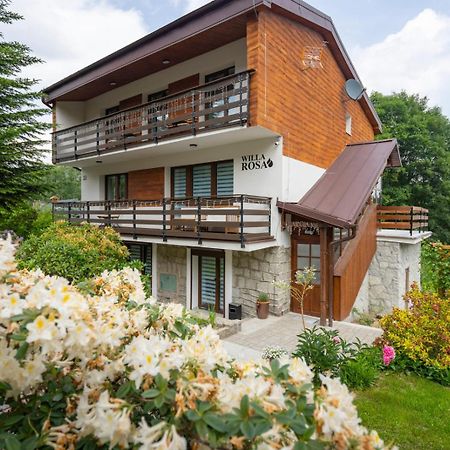Willa Rosa-Apartamenty Z Prywatna Sauna Szklarska Poręba Kültér fotó