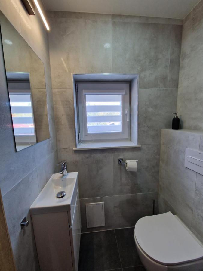 Willa Rosa-Apartamenty Z Prywatna Sauna Szklarska Poręba Kültér fotó