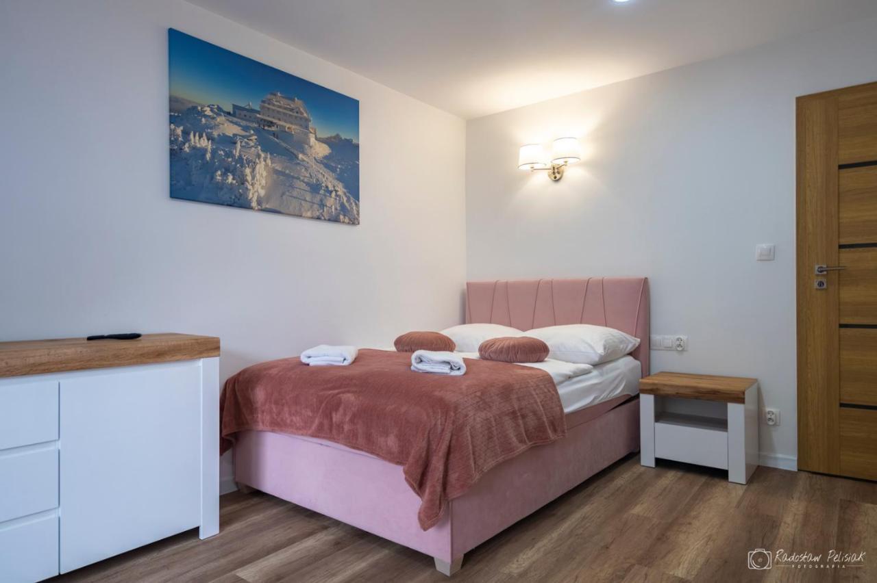 Willa Rosa-Apartamenty Z Prywatna Sauna Szklarska Poręba Kültér fotó